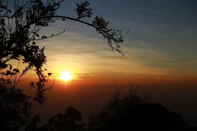 Praveen'S Wood House Kodaikanal Vattakanal Екстер'єр фото